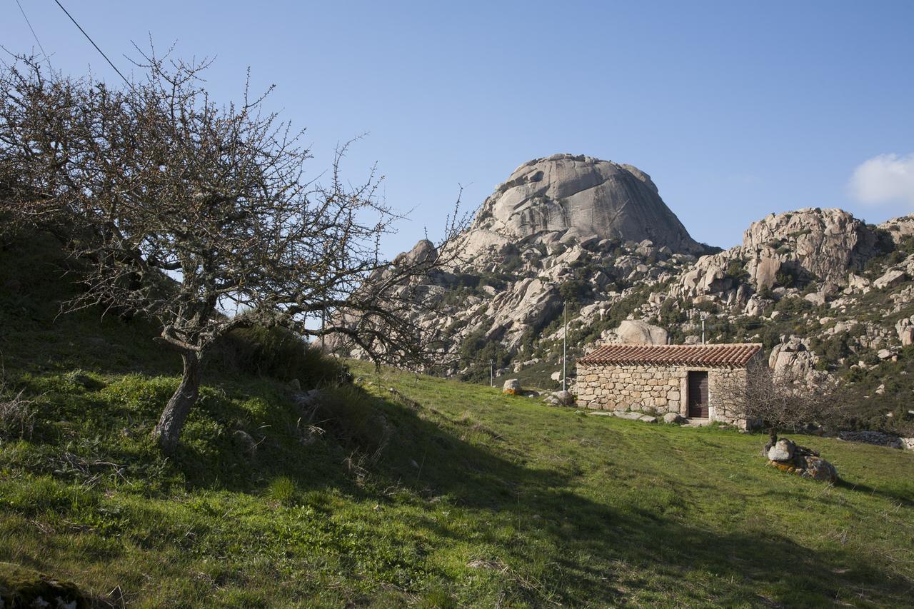 Locanda Li Manni Aggius Exterior photo